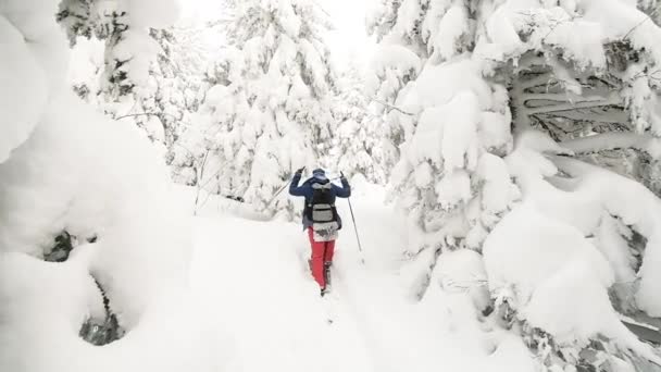 観光客のスキーヤー。山の中で障害を克服する。極端なスポーツだ。休暇旅行。休暇とアクティブなライフスタイルの概念。冬の雪 — ストック動画