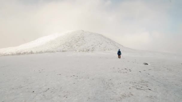 Tourist überwindet Hindernis in den Bergen. Extremsport. Urlaubsreisen. Urlaub und aktiver Lebensstil. Wald. Schnee, Schneeverwehungen. Steine — Stockvideo