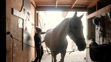 Kadın terbiye eğitimi için büyük, güçlü beyaz bir at hazırlıyor. Kız, hayvanın vücudundaki kürkü nazikçe temizler. Şefkatli, şefkatli. Etkin yaşam tarzı kavramı