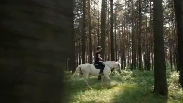 Caballo con un jinete camina por el bosque en un día claro de verano. Concepto de estilo de vida activo. Montar a caballo. jockey. Entrenamiento fin de semana mare — Vídeos de Stock