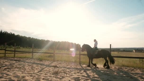 Jóquei fêmea montando um cavalo gracioso preto através da arena. Um quintal equestre. Conceito de estilo de vida ativo. Jóquei. Desporto. Fim de semana no clube equestre. pôr-do-sol de verão. movimento lento — Vídeo de Stock