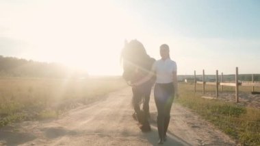 Jokey kadın siyah zarif atı arenaya götürüyor. Binicilik bahçesi. Aktif yaşam tarzı konsepti. Spor. Hafta sonu binicilik kulübünde. Yaz günbatımı. Dersler, eğitim..