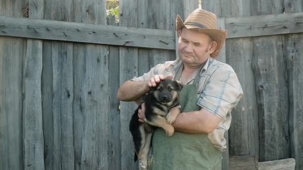 Emekli adam küçük, sevimli, siyah bir köpek yavrusu tutuyor. Oynuyor, okşuyor, kendini eğlendiriyor. Hayvan bakımı konsepti. Aktif yaşam tarzı. Çiftçi hafta sonu çiftçilik. Mutlu arkadaşlar. — Stok video