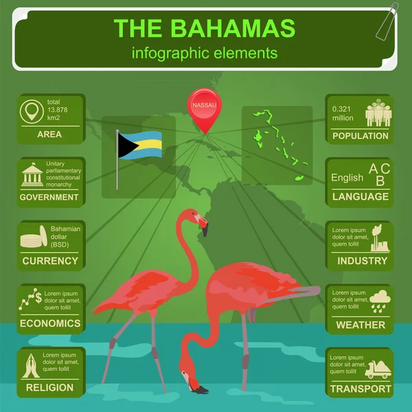 Os infográficos das Bahamas, dados estatísticos, vistas — Vetor de Stock