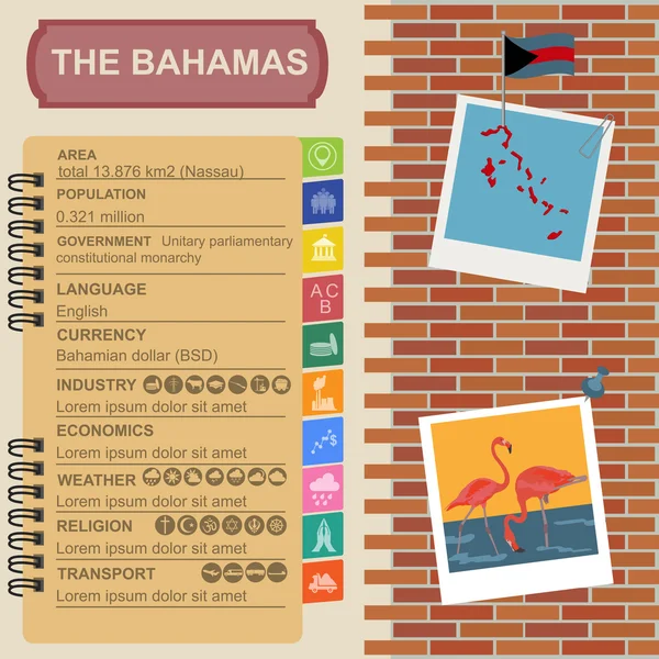 Os infográficos das Bahamas, dados estatísticos, vistas — Vetor de Stock