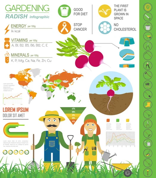 Zahradní infografika new_30 — Stockový vektor