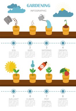 Infographic tarım bahçecilik iş. Grafik şablonu. Düz styl