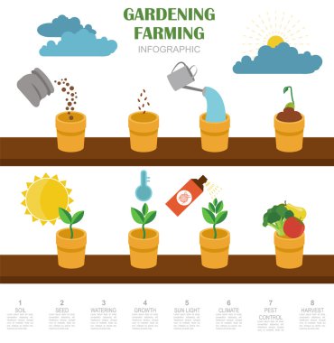 Infographic tarım bahçecilik iş. Grafik şablonu. Düz styl