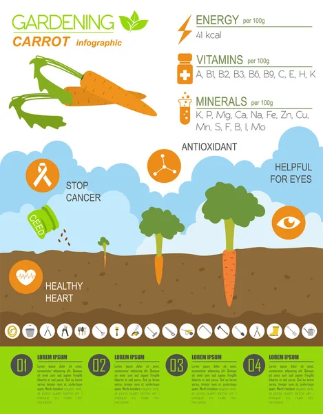 Infografía de jardinería new _ 30 — Vector de stock