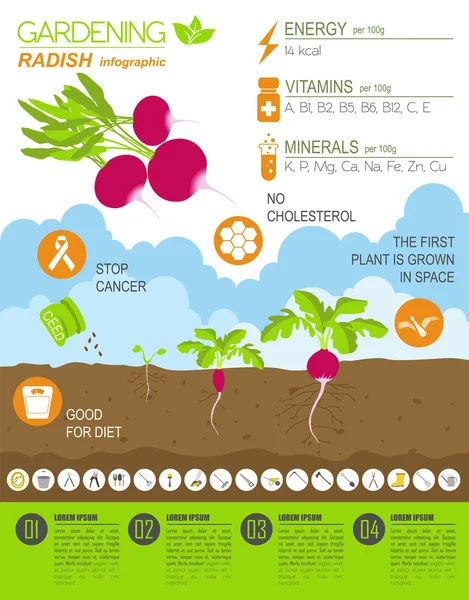 Zahradní infografika new_30 — Stockový vektor