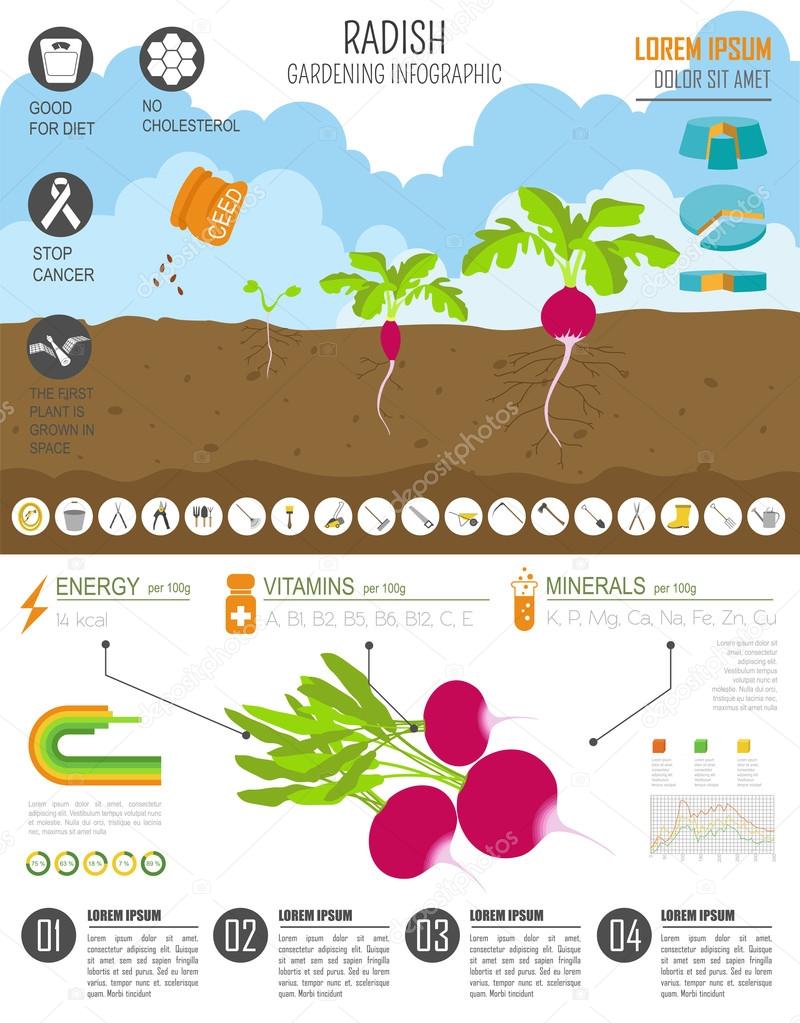 Gardening infographic new_30