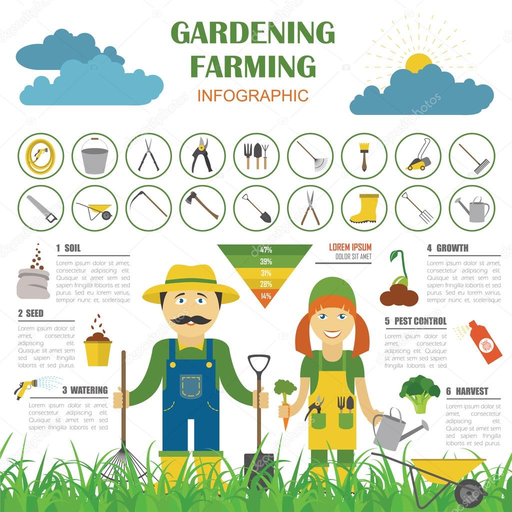 Gardening work, farming infographic. Graphic template. Flat styl