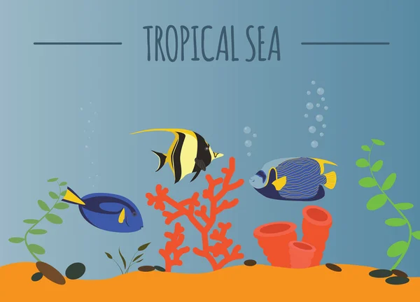 Grafická šablona tropické moře — Stockový vektor