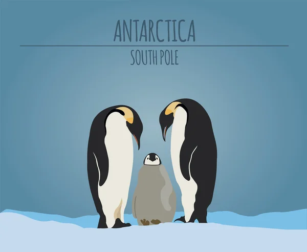 Plantilla gráfica de la Antártida (Polo Sur) — Archivo Imágenes Vectoriales