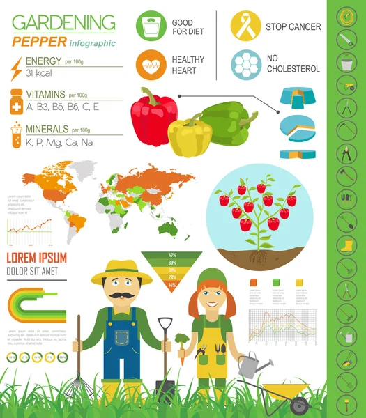 Trabajo de jardinería, infografía agrícola.Pimienta dulce. Temperatura gráfica — Archivo Imágenes Vectoriales