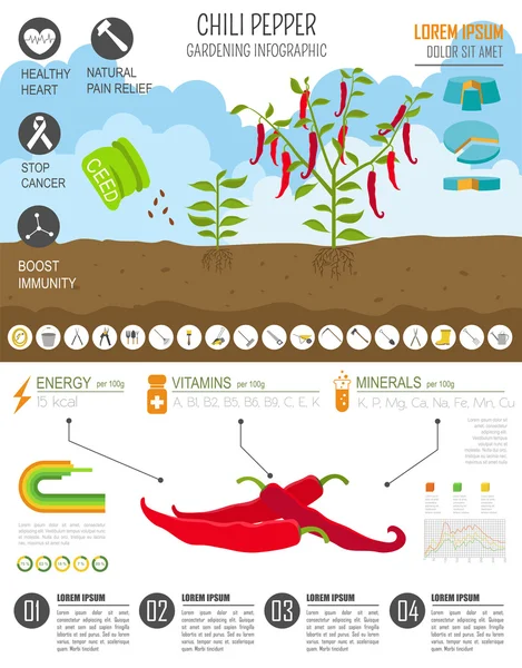 Trabajo de jardinería, infografía agrícola.Pimienta de chile. Temperatura gráfica — Vector de stock