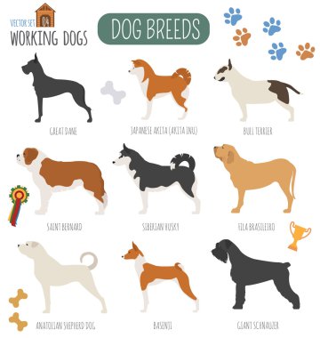 Köpek ırkları. (İzlerken) çalışma köpek Icon set. Düz stil