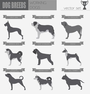 Köpek ırkları. (İzlerken) çalışma köpek Icon set. Düz stil