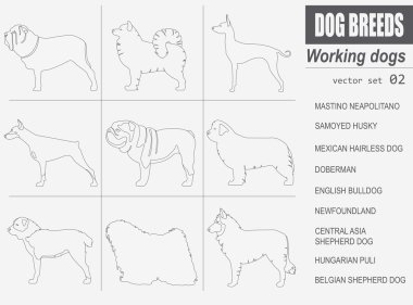 Köpek ırkları. (İzlerken) çalışma köpek Icon set. Düz stil