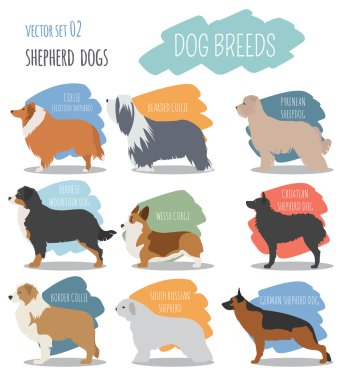Dog breeds. Shepherd dog set icon. Flat style clipart