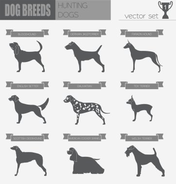Köpek ırkları. Av köpeği Icon set. Düz stil