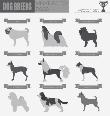 Köpek ırkları. Minyatür oyuncak köpek Icon set. Düz stil