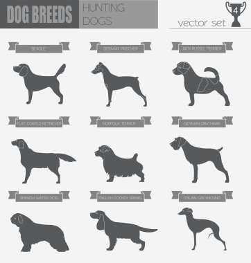 Köpek ırkları. Av köpeği Icon set. Düz stil