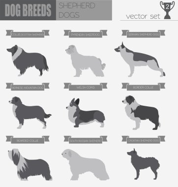 Köpek ırkları. Çoban köpeği Icon set. Düz stil