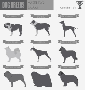 Köpek ırkları. (İzlerken) çalışma köpek Icon set. Düz stil
