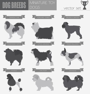 Köpek ırkları. Minyatür oyuncak köpek Icon set. Düz stil