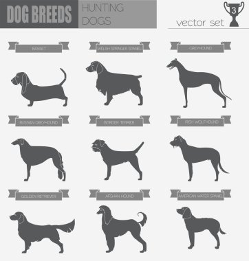 Köpek ırkları. Av köpeği Icon set. Düz stil
