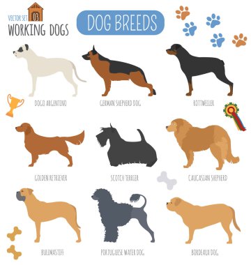 Köpek ırkları. (İzlerken) çalışma köpek Icon set. Düz stil