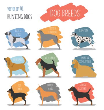 Köpek ırkları. Av köpeği Icon set. Düz stil