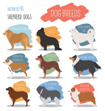 Köpek ırkları. Çoban köpeği Icon set. Düz stil