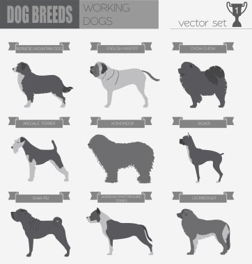 Köpek ırkları. (İzlerken) çalışma köpek Icon set. Düz stil