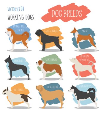 Dog breeds. Working (watching) dog set icon. Flat style clipart