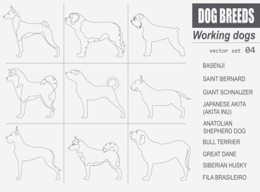 Köpek ırkları. (İzlerken) çalışma köpek Icon set. Düz stil