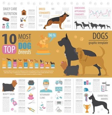 Köpek bilgi grafik şablonu. Heatlh bakım, veteriner, beslenme, exhibiti