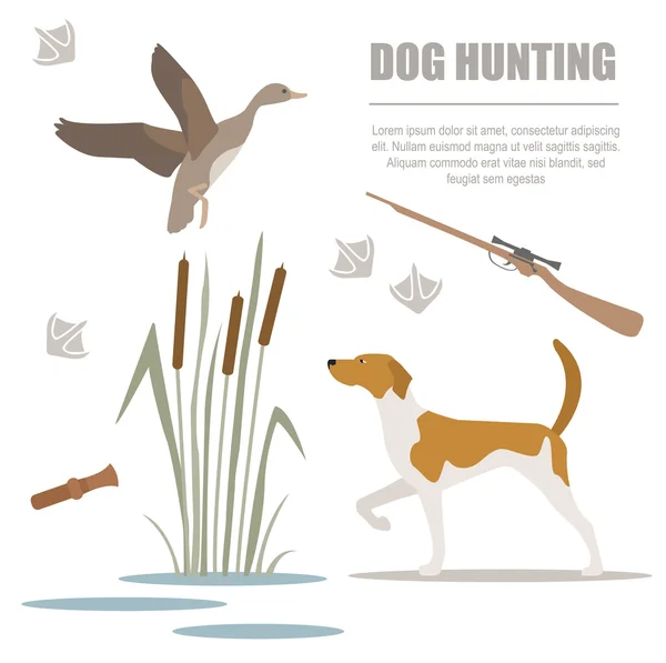 Dog hunting. Flat style. — Stock Vector