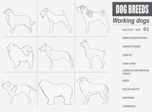 Razas de perros. Trabajo (viendo) perro conjunto icono. Estilo plano — Vector de stock