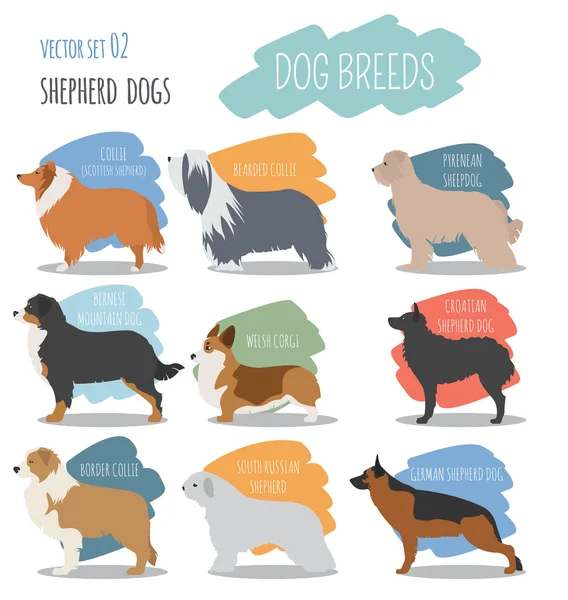 Dog breeds. Shepherd dog set icon. Flat style — Stock Vector