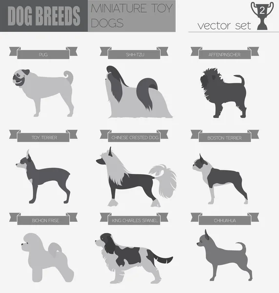 Razze di cani. Giocattolo miniatura cane set icona. Stile piatto — Vettoriale Stock