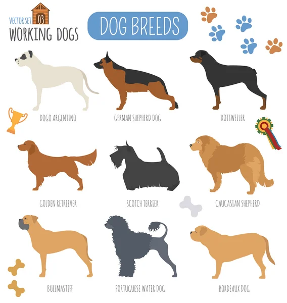 Hondenrassen. Werken (spotten) hond instellen pictogram Vlakke stijl — Stockvector