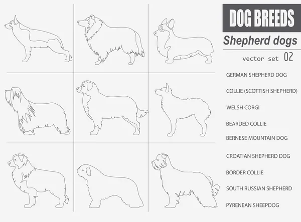 Hondenrassen. Herder instellen pictogram Vlakke stijl — Stockvector