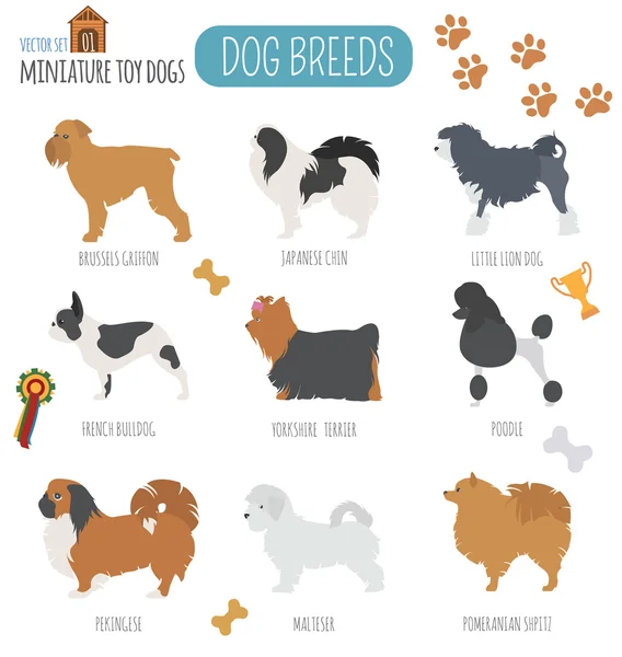 狗的品种。微型玩具狗设置图标。平面样式 — 图库矢量图片