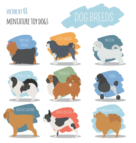 Dog breeds. Miniature toy dog set icon. Flat style — Stock Vector