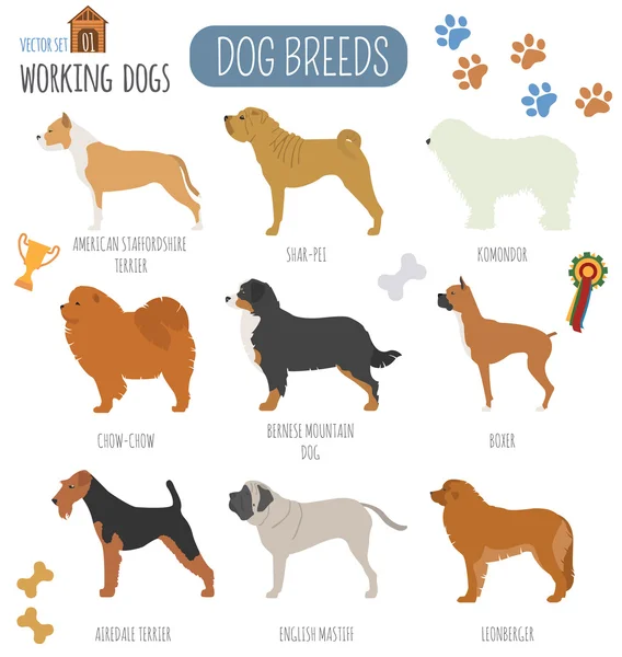 Dog breeds. Working (watching) dog set icon. Flat style — Stock Vector