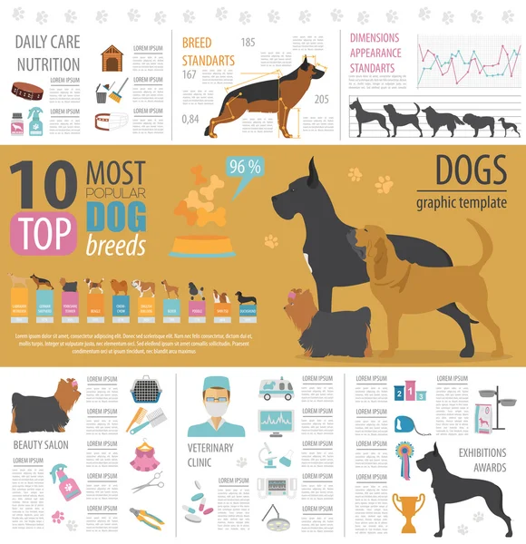 Dog info graphic template. Heatlh care, vet, nutrition, exhibiti — Stock Vector