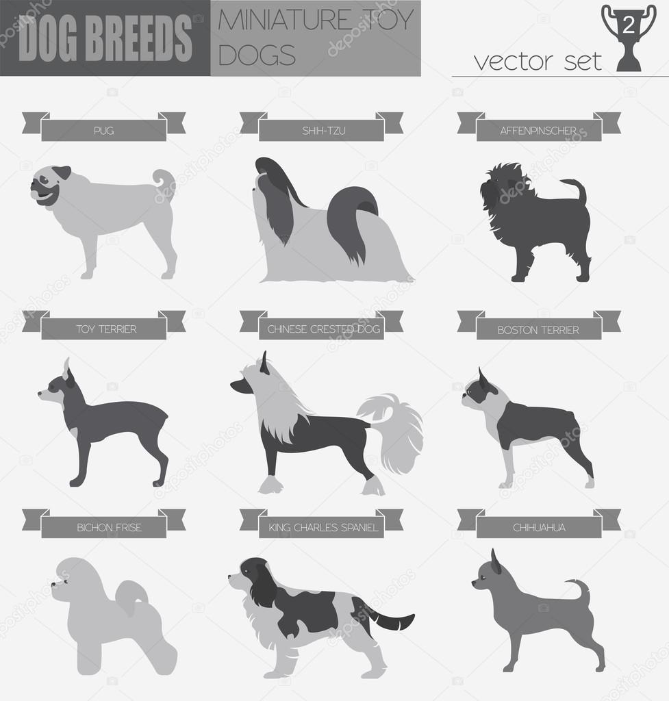 Download 85 Bichon Silhouette Vectors Free Royalty Free Bichon Silhouette Vector Images Depositphotos