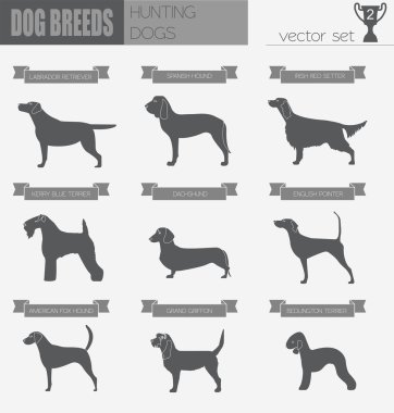 Köpek ırkları. Av köpeği Icon set. Düz stil